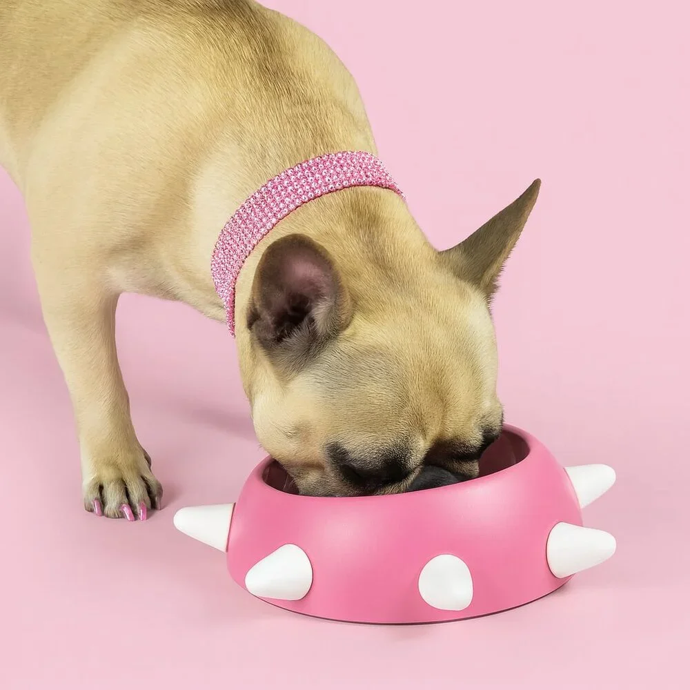 Luxury Eco-Friendly Modern Spiked Inclined Pet Bowl  - Made in Italy
